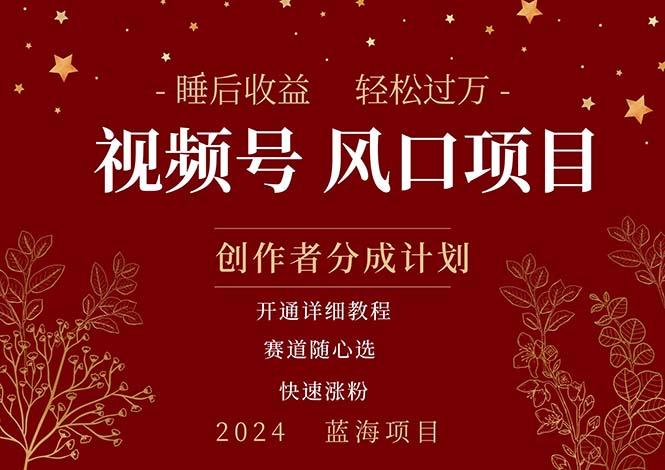 拥有睡眠收益的微信视频号大风口项目，轻松月入过万+，多赛道选择，可…-鼎铸网