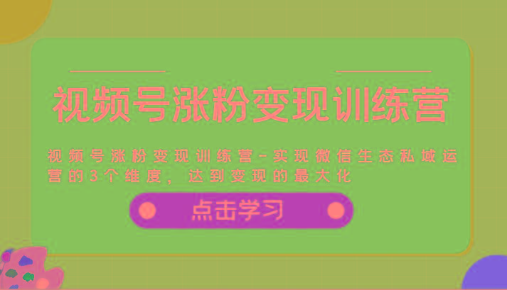 视频号涨粉变现训练营-实现微信生态私域运营的3个维度，达到变现的最大化-鼎铸网