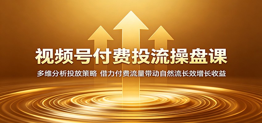 视频号付费投流操盘课:多维分析投放策略,借力付费流量带动自然流长效增长收益-鼎铸网