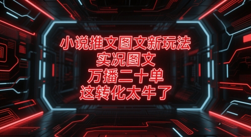 小说推文图文新玩法，实况图文，万播二十单，这转化太牛了！-鼎铸网