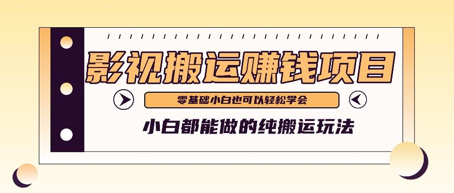 手把手教你操作影视搬运项目,小白都能做零基础也能赚钱-鼎铸网