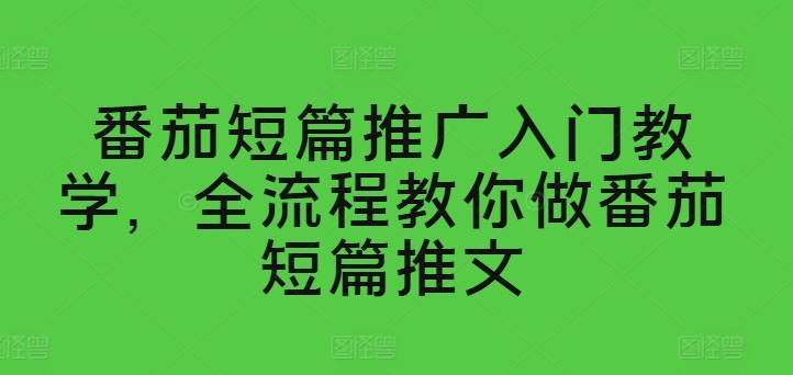 番茄短篇推广入门教学，全流程教你做番茄短篇推文-鼎铸网