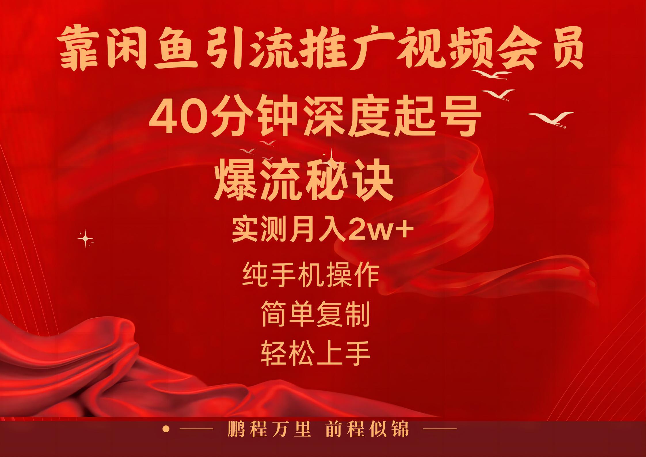 闲鱼暴力引流推广视频会员，能做到日入2W+，操作简单-鼎铸网