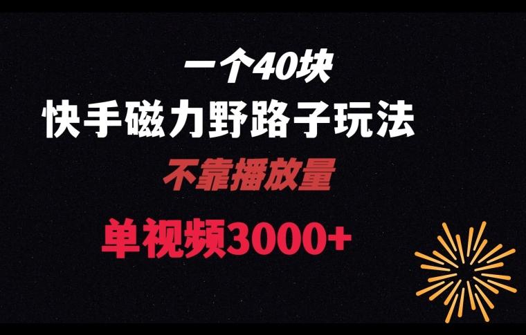 ca06ead451787fd300e0a92c1377bac8.jpeg 一个40块,快手联合美团磁力新玩法,无视机制野路子玩法,单视频收益4位数【揭秘】