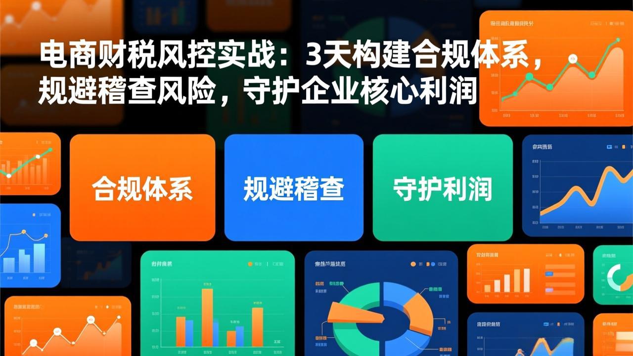 电商财税风控实战：3天构建合规体系，规避稽查风险，守护企业核心利润-鼎铸网