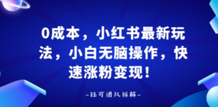 0成本，小红书最新玩法，小白无脑操作，快速涨粉变现-鼎铸网