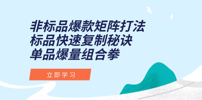 cf63f29cc50331fb5c6f3ced5f4f5e03.jpeg 非标品爆款矩阵打法,标品快速复制秘诀,单品爆量组合拳