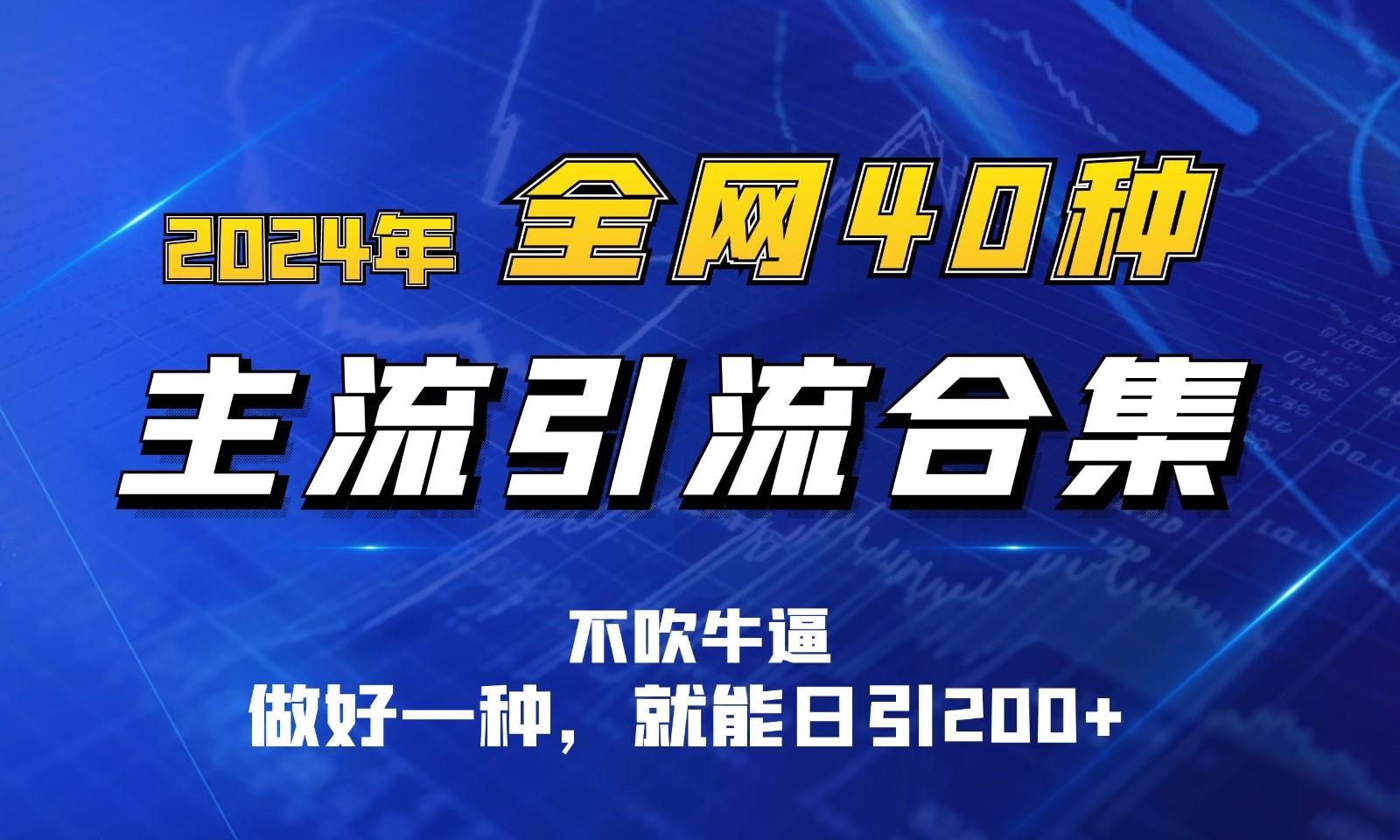 2024年全网40种暴力引流合计，做好一样就能日引100+-鼎铸网
