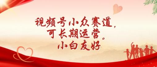 视频号小众赛道，可长期运营，小白友好【揭秘】-鼎铸网