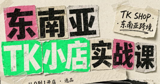 东南亚TK小店实战课(基础+进阶)-鼎铸网