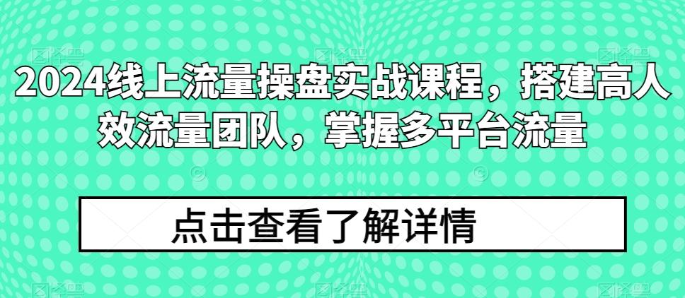 d033e7d9539d0a36619c15fdb9cce0e0.jpeg 2024线上流量操盘实战课程,搭建高人效流量团队,掌握多平台流量