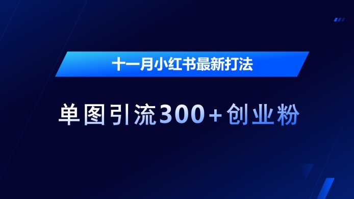 d0790c4ef4f4f57b9d5c274b5737d216.jpeg 十一月小红书最新打法,单图引流300+创业粉【揭秘】