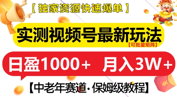 实测视频号最新玩法，中老年赛道，独家资源，月入过W+【揭秘】-鼎铸网