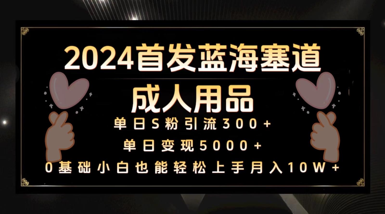 2024首发蓝海塞道成人用品,月入10W+保姆教程-鼎铸网