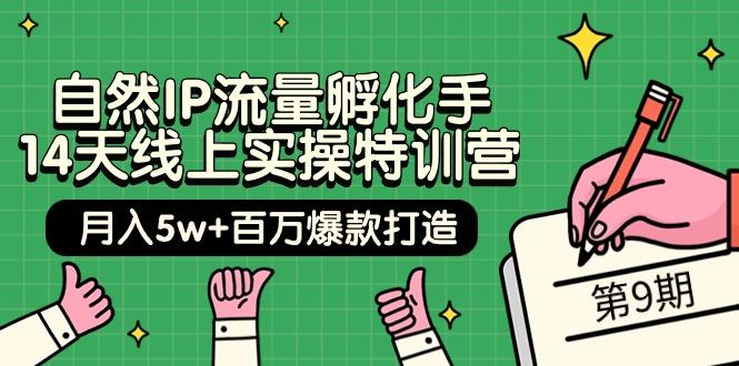 d2d240d5e39b2774cd4cf2b8ce80d1ad.jpeg (9881期)自然IP流量孵化手 14天线上实操特训营【第9期】月入5w+百万爆款打造 (74节)