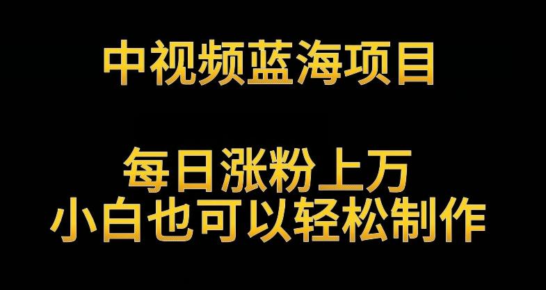 d2da302dd2443b8c00e69e984d2eb42f.jpeg 中视频蓝海项目,解读英雄人物生平,每日涨粉上万,小白也可以轻松制作,月入过万不是梦【揭秘】