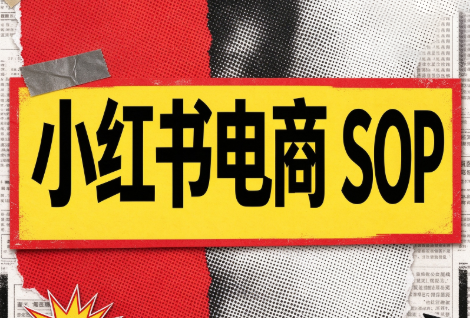 书豪必胜小红书电商sop(更新9月)-鼎铸网