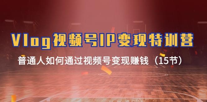 d349fd8f8187132d2e5cc3f3c6f64d14.jpeg Vlog 视频号IP变现特训营,普通人如何通过视频号变现赚钱(15节