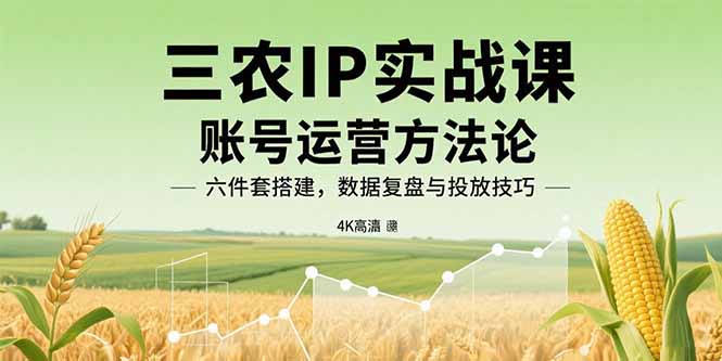 三农IP实战课：账号运营方法论，六件套搭建，数据复盘与投放技巧-鼎铸网