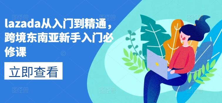 d3ad8d429a61779d4511d8d0c611ca68.jpeg lazada从入门到精通,跨境东南亚新手入门必修课