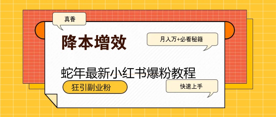 蛇年最新小红书爆粉教程，狂引副业粉，月入万+必看-鼎铸网
