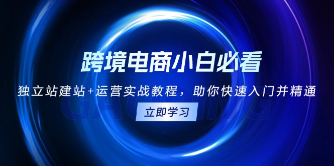 跨境电商小白必看！独立站建站+运营实战教程，助你快速入门并精通-鼎铸网