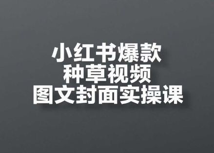 小红书爆款种草视频图文封面实操课，​开店、选品、引流、变现全流程-鼎铸网