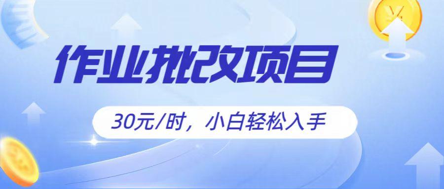 作业批改项目30元/时，简单小白轻松入手，非常适合兼职-鼎铸网