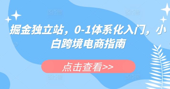 d8704a5880c7b3dbd36b68e08d71a12a.jpeg 掘金独立站,0-1体系化入门,小白跨境电商指南