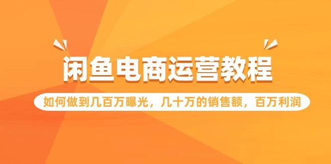 (9560期)闲鱼电商运营教程：如何做到几百万曝光，几十万的销售额，百万利润-鼎铸网