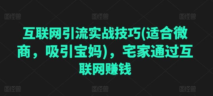 互联网引流实战技巧(适合微商，吸引宝妈)，宅家通过互联网赚钱-鼎铸网