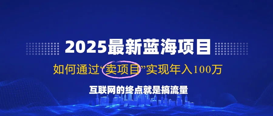 2025最新蓝海项目，零门槛轻松复制，月入10万+，新手也能操作！-鼎铸网