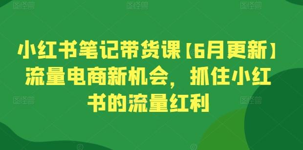 daaf7919e16a2c443a8f5b7a3412e5d5.jpeg 小红书笔记带货课【6月更新】流量电商新机会,抓住小红书的流量红利