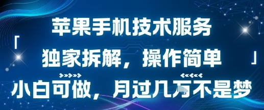 db7a0d3c337debf7f609cb8d0a3df43e.jpeg 苹果手机技术服务,独家拆解,操作简单,小白可做,月过1W不是梦