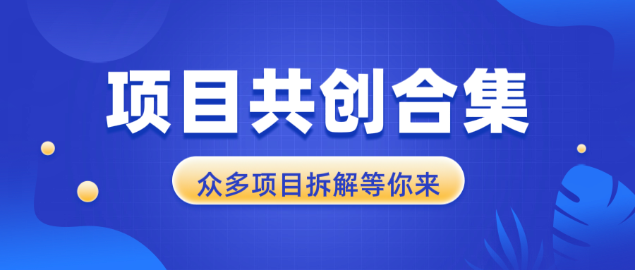 项目共创合集，从0-1全过程拆解，让你迅速找到适合自已的项目-鼎铸网