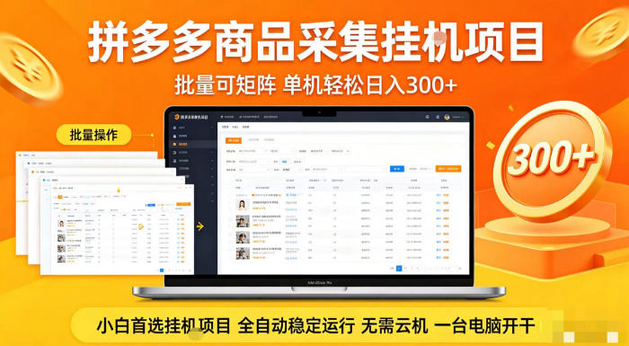 拼多多商品信息全自动采集项目，批量可矩阵，单机轻松日入300+，无需云机一台电脑开干【揭秘】-鼎铸网