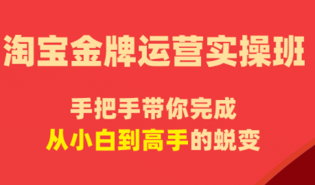 飓风电商·淘宝金牌运营实操班-鼎铸网