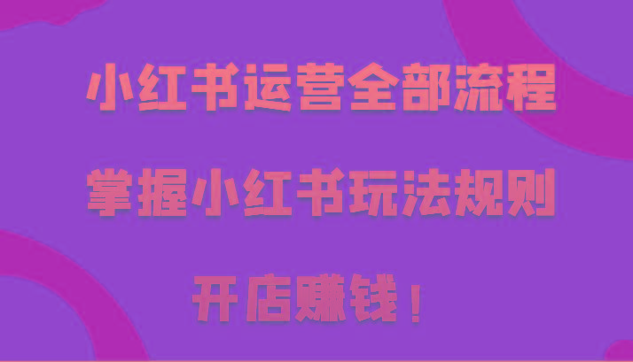 小红书运营全部流程，掌握小红书玩法规则，开店赚钱！-鼎铸网