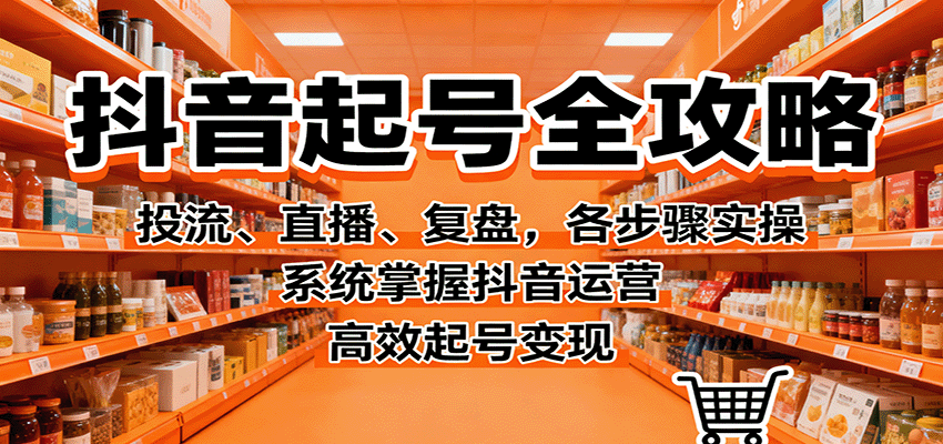 抖音起号全攻略，投流、直播、复盘，各步骤实操，系统掌握抖音运营，高效起号变现-鼎铸网