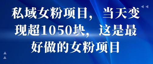 私域女粉项目,当天变现超1k,这是最好做的女粉项目,可放大操作-鼎铸网