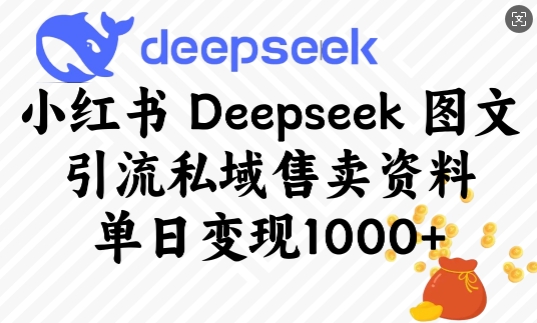 小红书Deepseek图文引流私域售卖资料,单日变现多张-鼎铸网