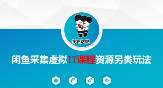 闲鱼采集虚拟IT课程资源另类玩法，干货满满-鼎铸网