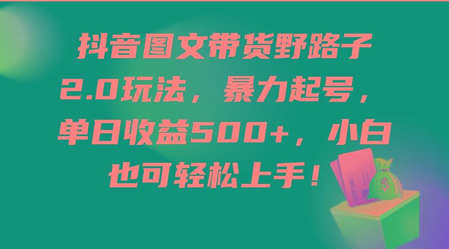 (9790期)抖音图文带货野路子2.0玩法，暴力起号，单日收益500+，小白也可轻松上手！-鼎铸网