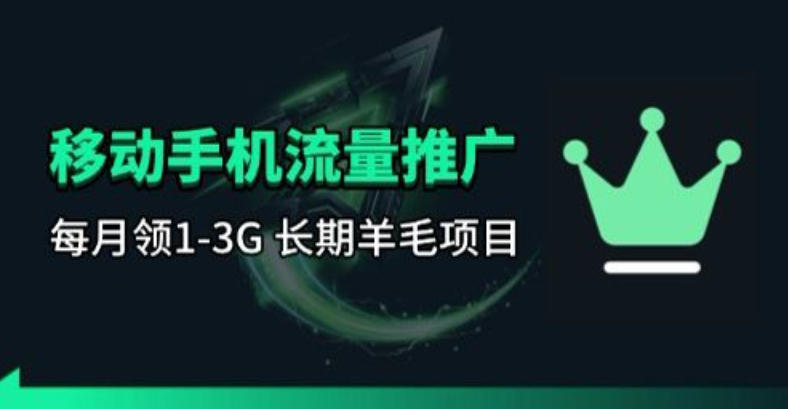 手机流量领取推广_每月一轮，刚需类的长期项目-鼎铸网