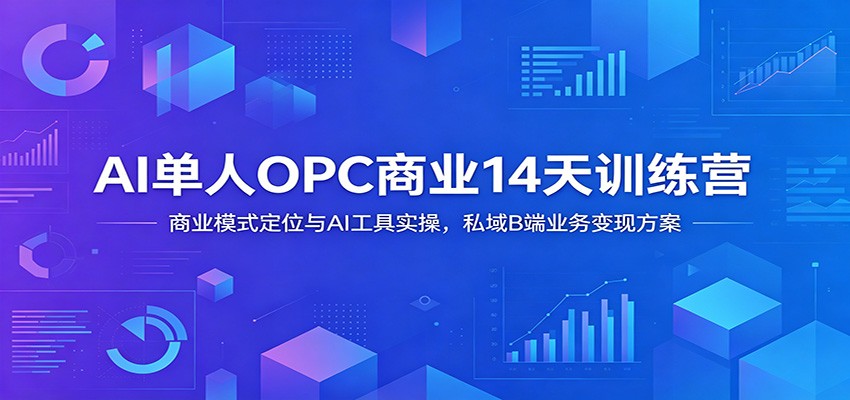 AI单人OPC商业14天训练营：商业模式定位与AI工具实操，私域B端业务变现方案-鼎铸网
