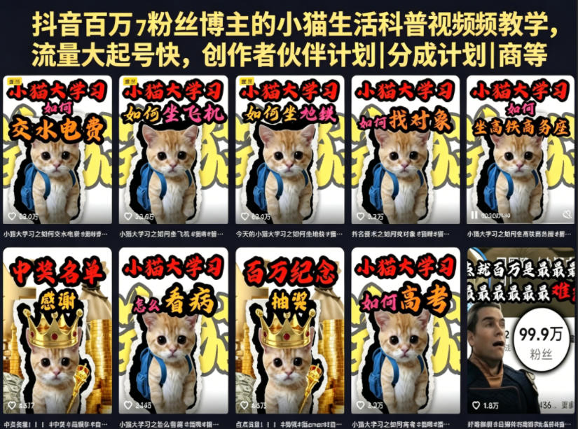 抖音百万粉丝博主的小猫生活科普视频教学,流量大起号快,创作者伙伴计划|分成计划|商单|收徒等-鼎铸网