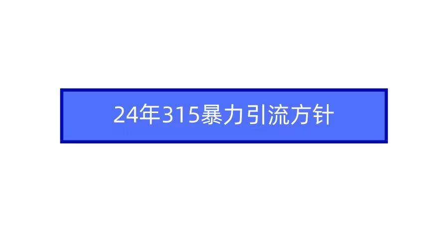 (9398期)2024年315暴力引流方针-鼎铸网