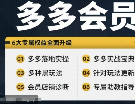 e254bf4a1c712aaf2a2909c5f70decc5.jpeg 拼多多会员,拼多多实战宝典+实战落地实操,从新手到高阶内容全面覆盖