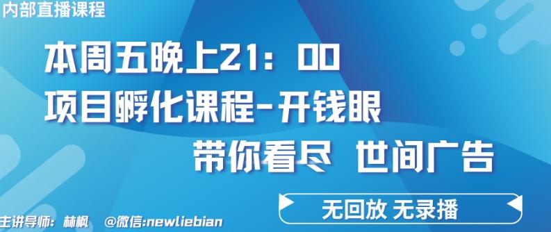 4.26日内部回放课程《项目孵化-开钱眼》赚钱的底层逻辑【揭秘】-鼎铸网