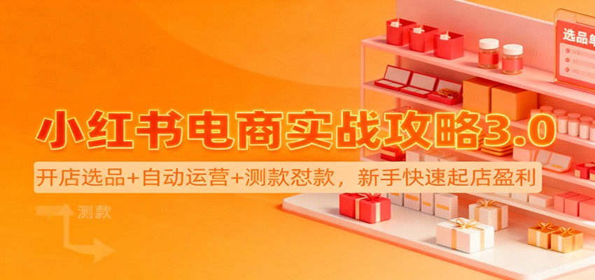 小红书电商实战攻略3.0：开店选品+自动运营+测款怼款，新手快速起店盈利-鼎铸网